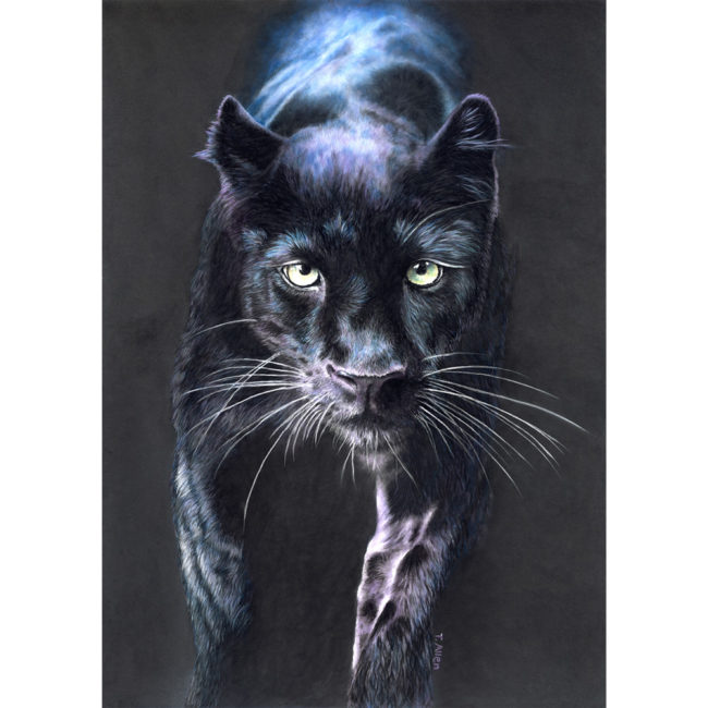An-Enchanting-Encounter black panther
