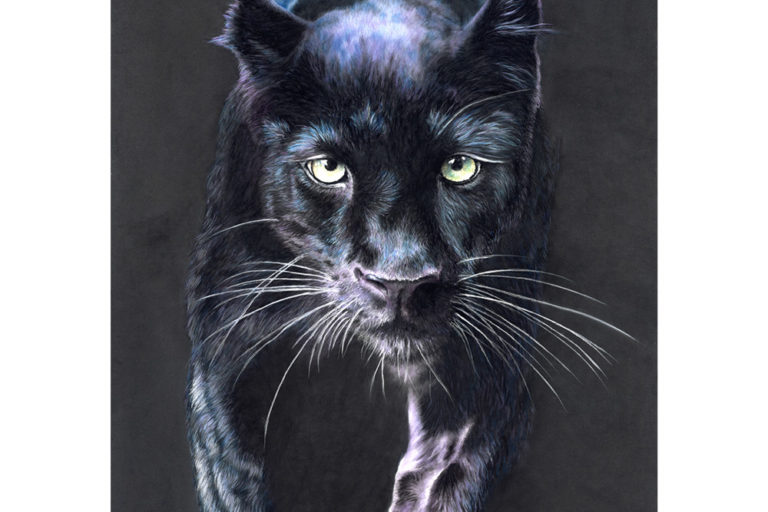 black panther