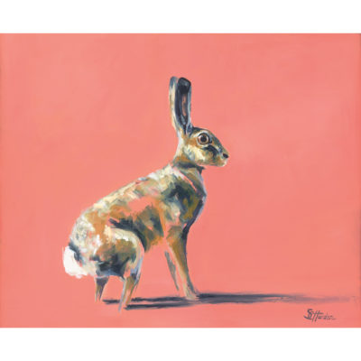 hare