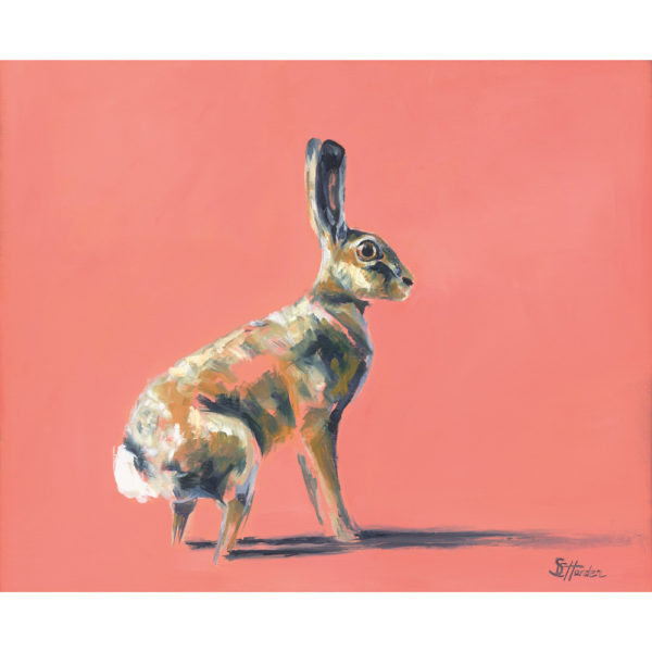hare
