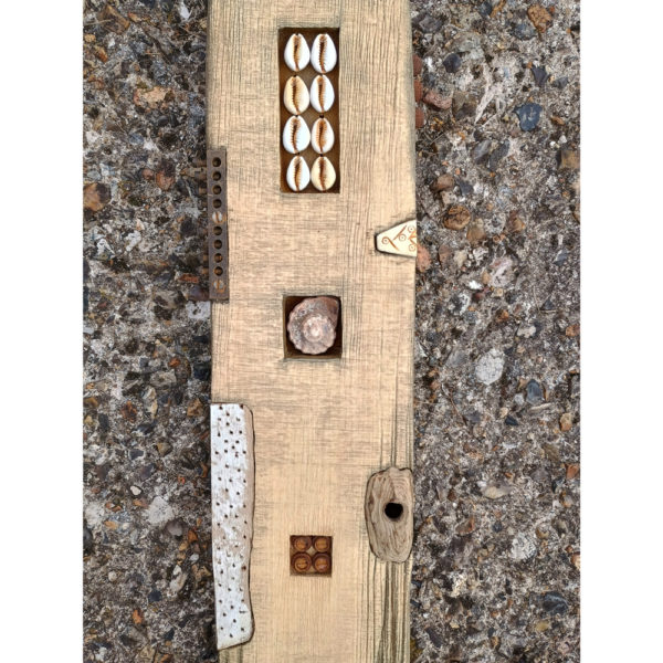 cowrie shells