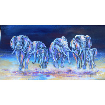 elephant family