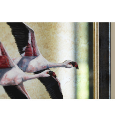 flamingo