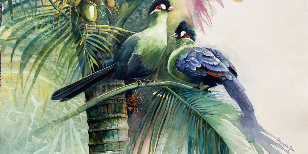turacos