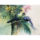 turacos