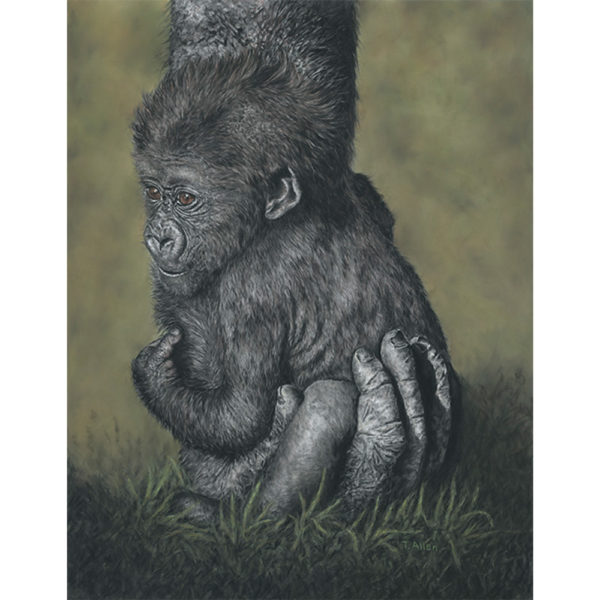 baby gorilla
