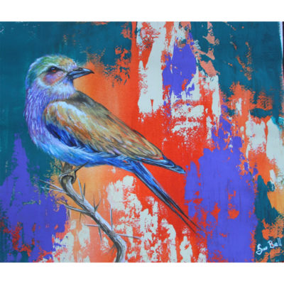 Lilac-breasted Roller