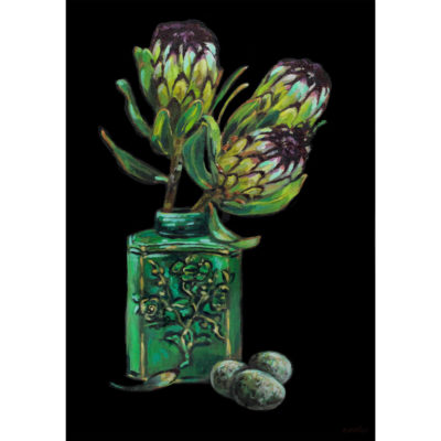 proteas