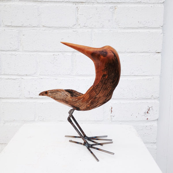 garden bird