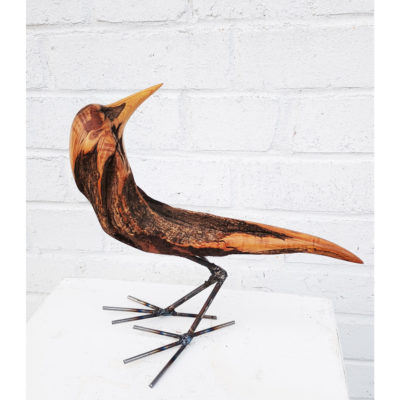 turning bird