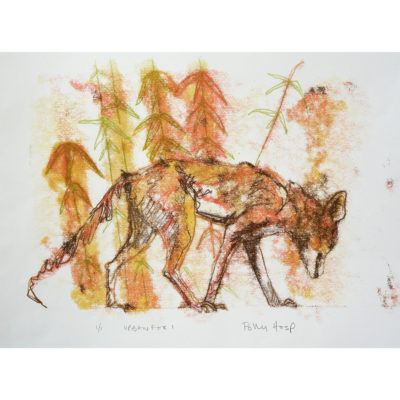 slinking fox