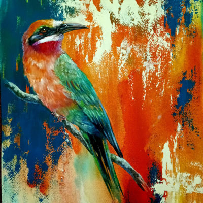 White-fronted bee-eater