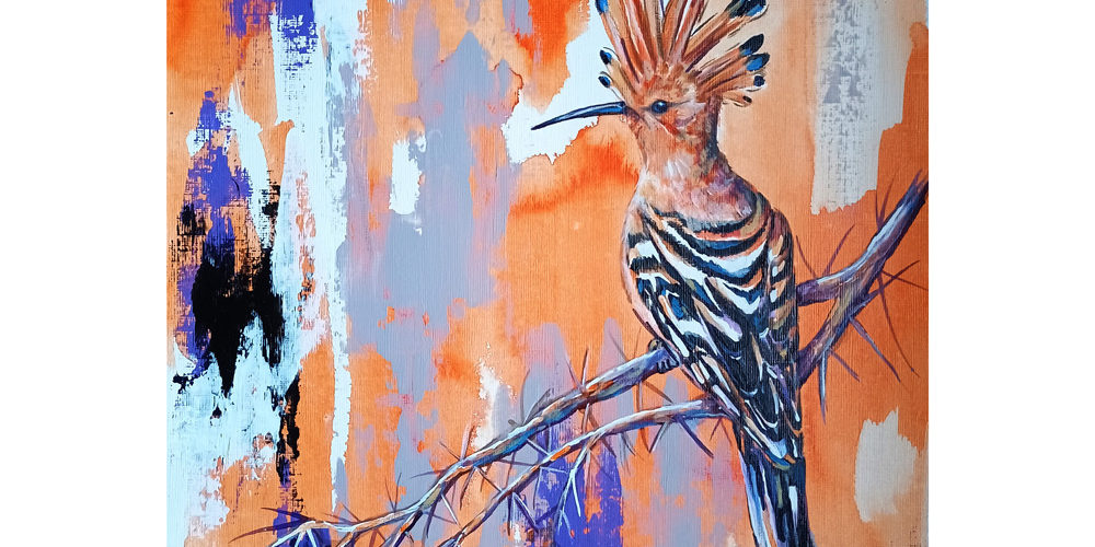 hoopoe