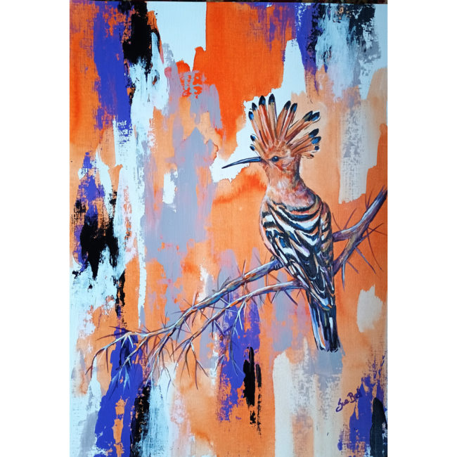 hoopoe