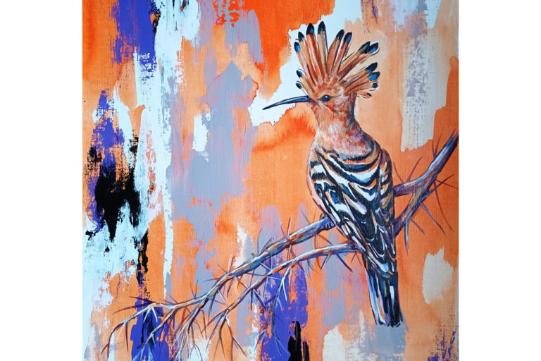 hoopoe