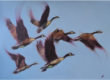 flying geese