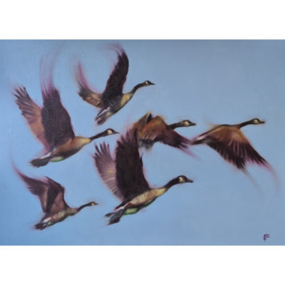 flying geese