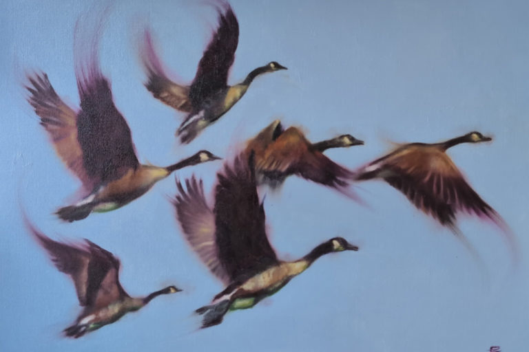 flying geese