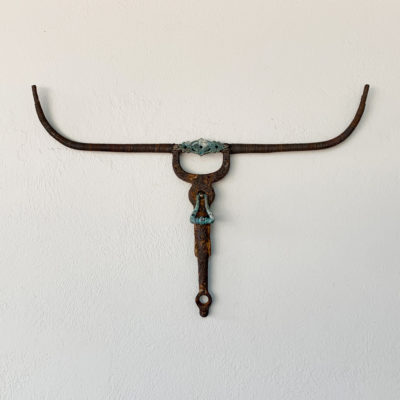 decorated bull