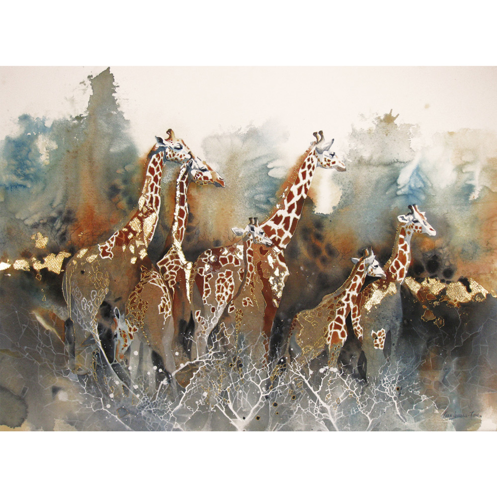 herd of giraffe