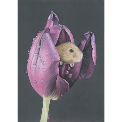 mouse