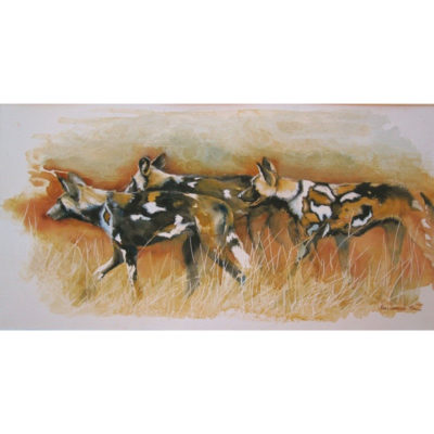 hunting dogs