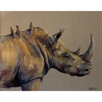 oxpeckers