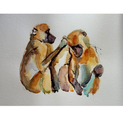 preening baboons