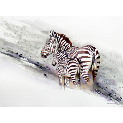 zebra and foal