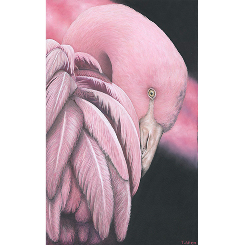 pink flamingo