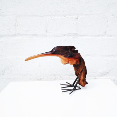 Kiwi bird
