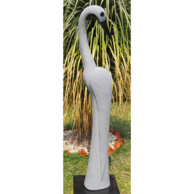 tall bird