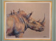 rhino portrait