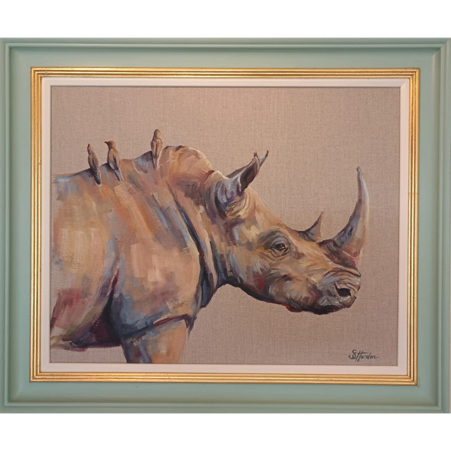 rhino portrait