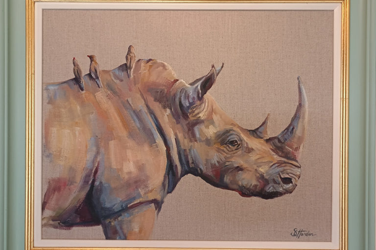 rhino portrait