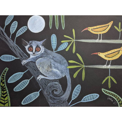 bushbaby