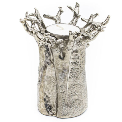 baobab tree