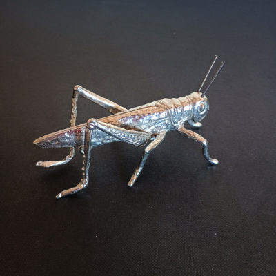 grasshopper