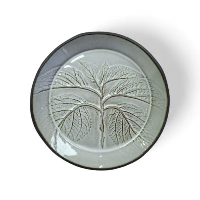 leafy plant