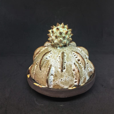 butter dome