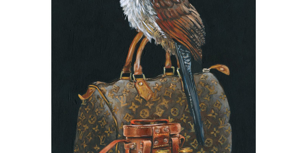 Burchell's Coucal