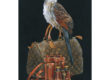 Burchell's Coucal