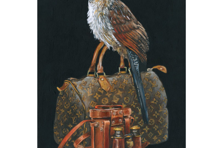 Burchell's Coucal