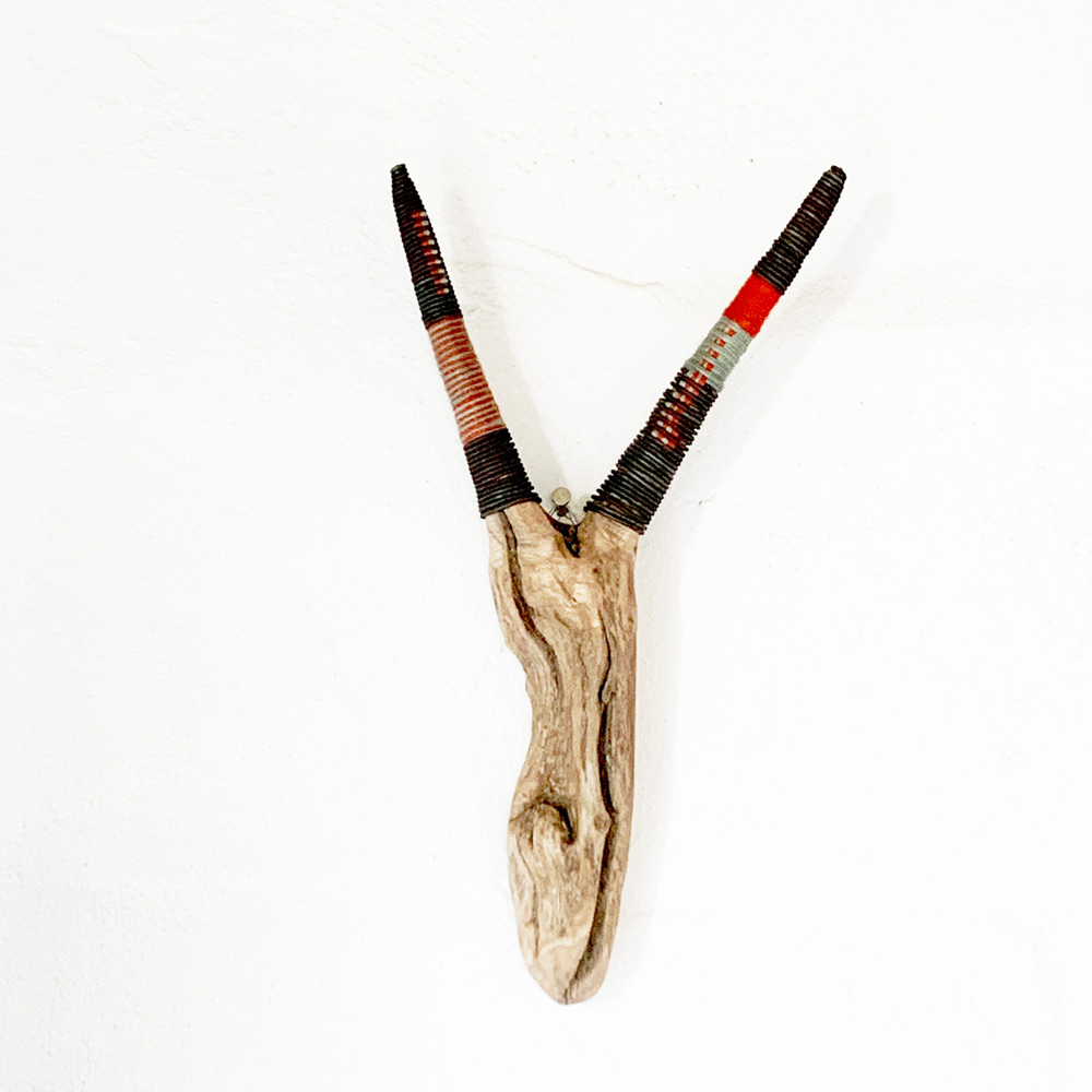 antelope