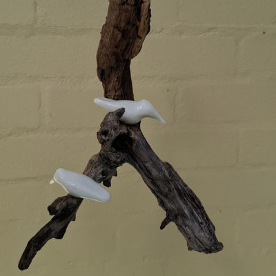 forked branch