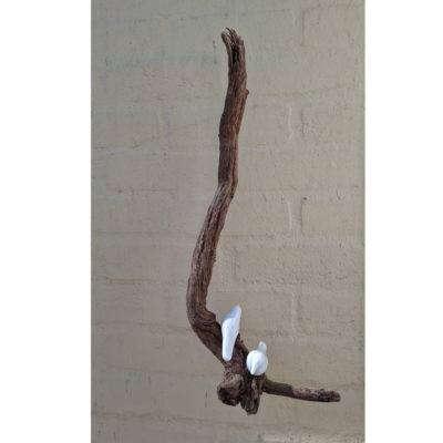 birds on a branch
