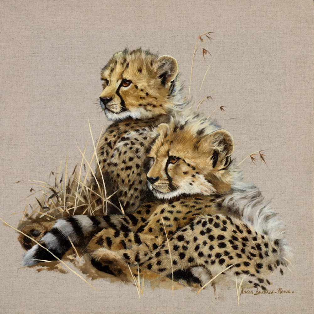 cheetah cubs