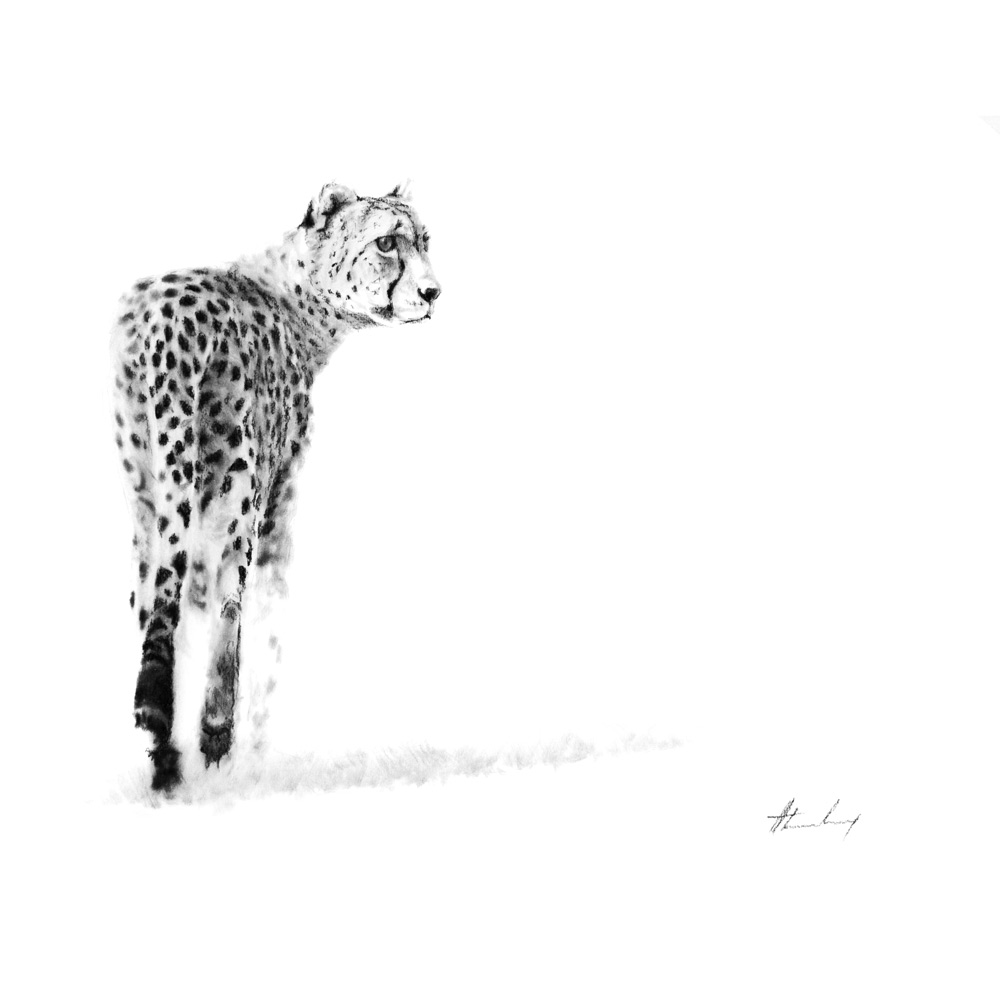 hunt