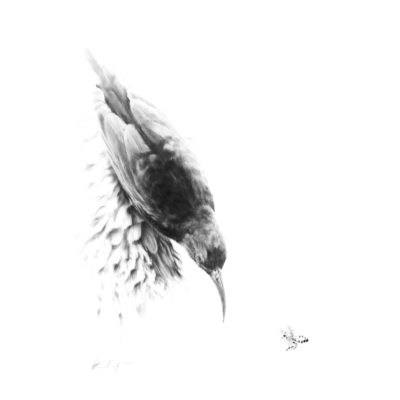 hover
