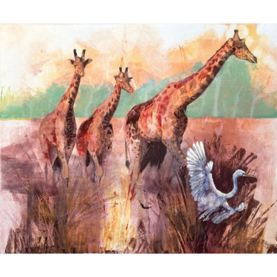giraffe